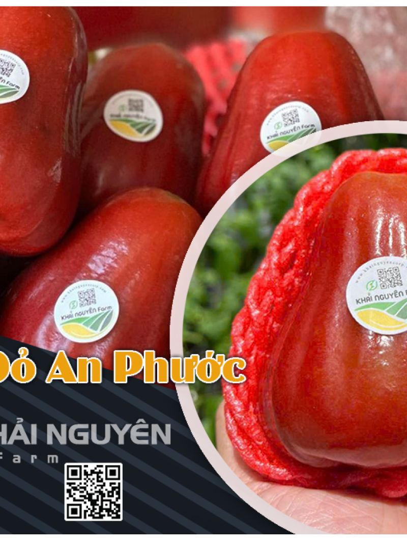 Mận Đỏ An Phước